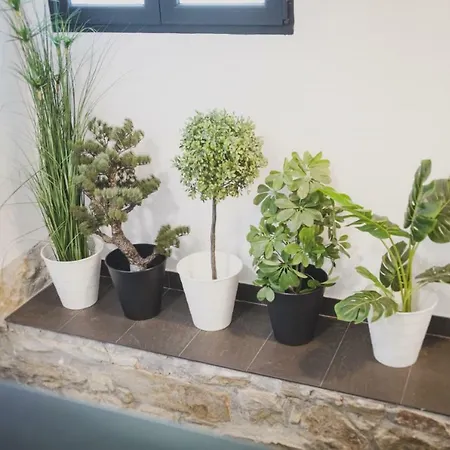 Duplex Con Diseno Perfecto Teletrabajar Y Cerca Del Metro Daire